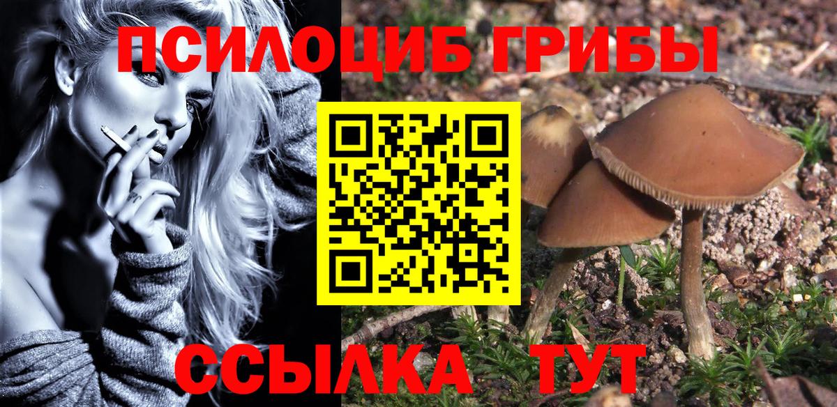 Галлюциногенные грибы MAGIC MUSHROOMS Омск