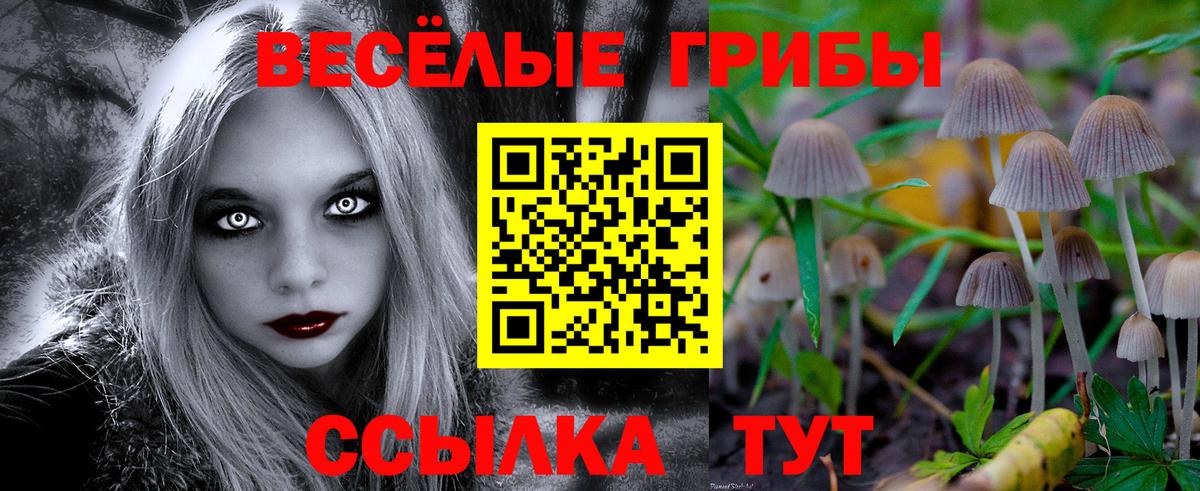 Галлюциногенные грибы мухоморы  Вход с VPN  Омск 