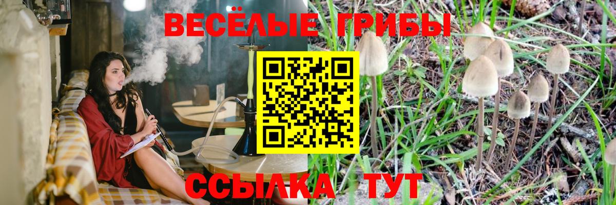 ГАШИШ Омск